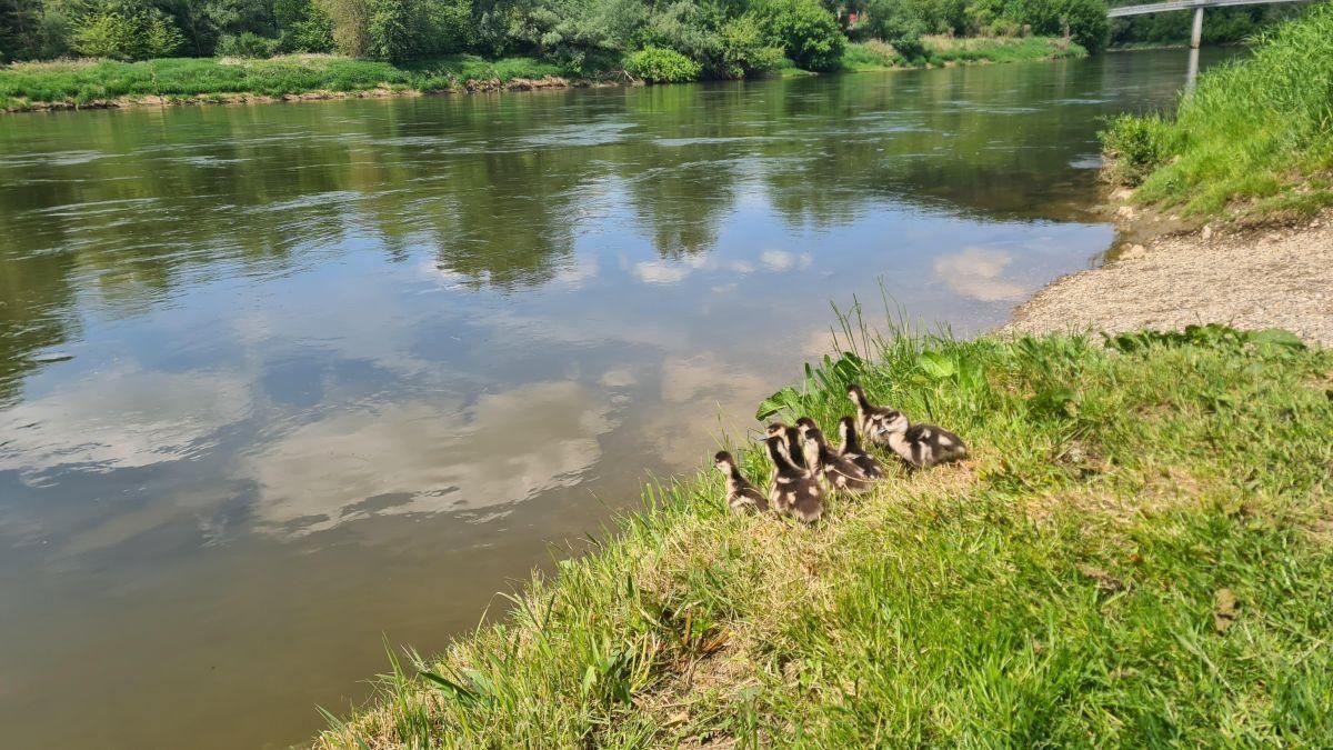 Technische Hilfeleistung